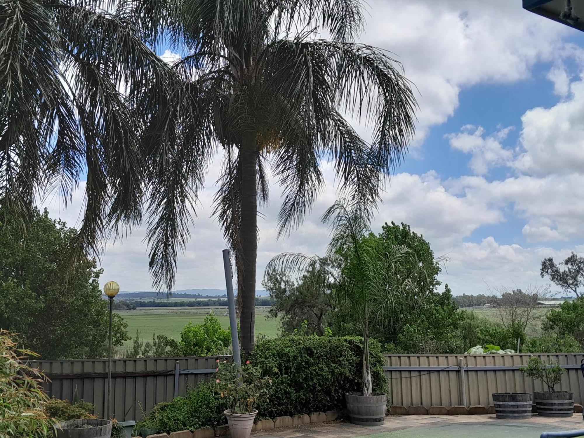 Muswellbrook Northside Bed & Breakfast Eksteriør billede