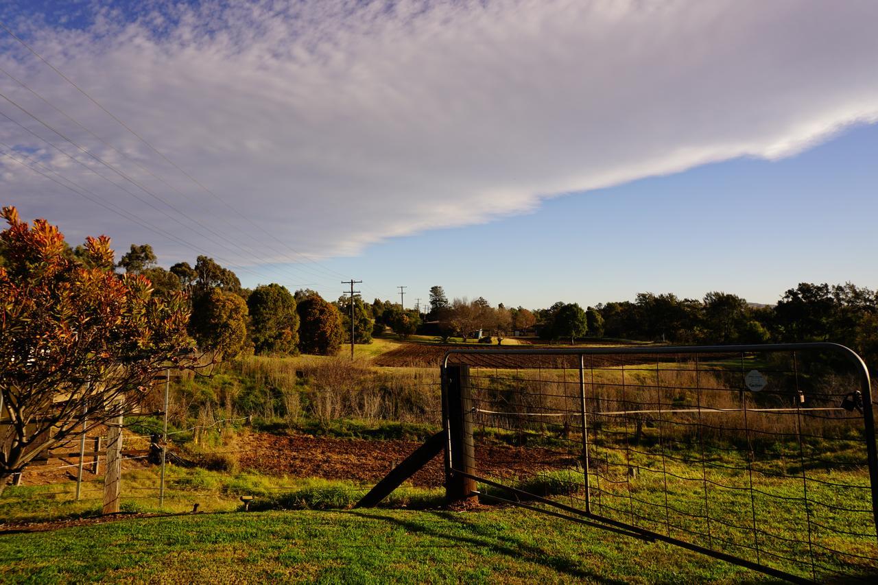 Muswellbrook Northside Bed & Breakfast Eksteriør billede